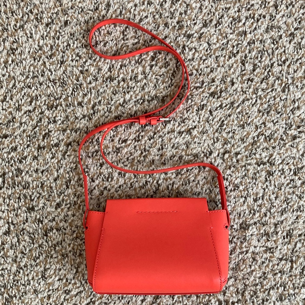 Everlane red micro bag